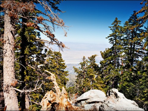 mountain5