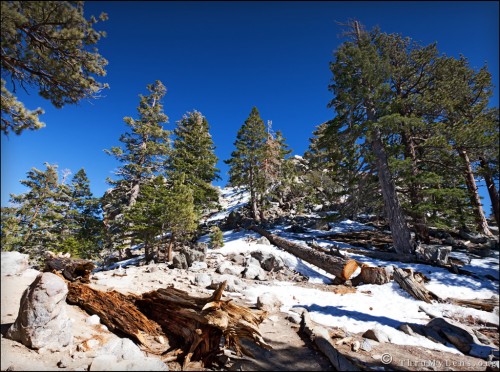 mountain6