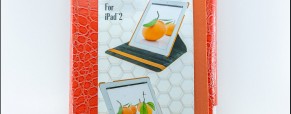 Review of the Props Pivot Case for the iPad 2