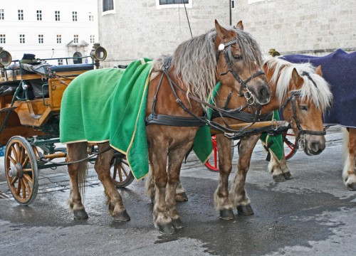 salzburg-25