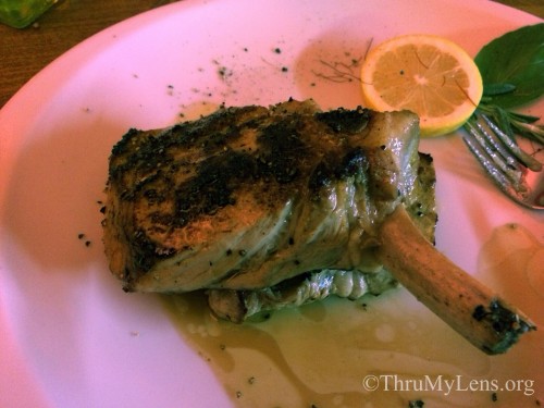 lamb