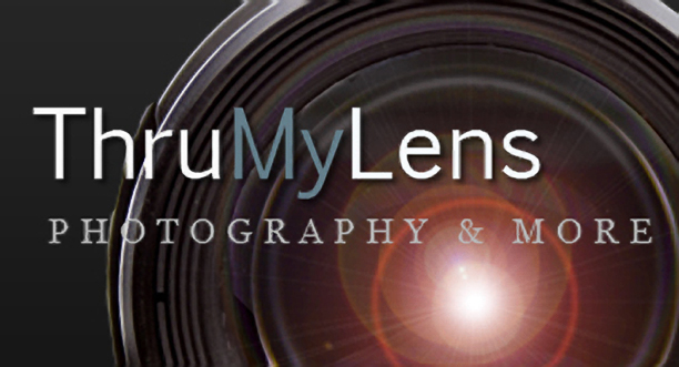 The First ThruMyLens Promotional Video Is Here!
