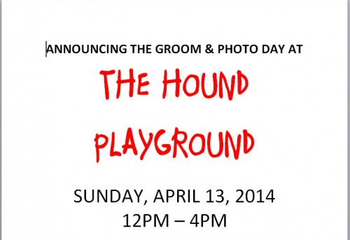 shoot announce