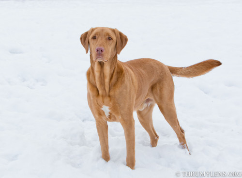 FY7A9014-Edit-Edit-Edit-Edit