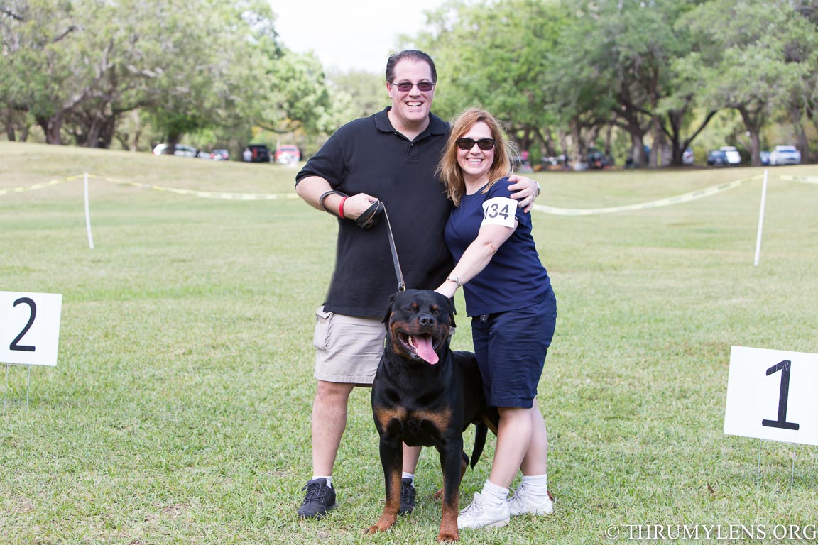 The 2015 South Florida Rottweiler Klub RKNA Breed Show