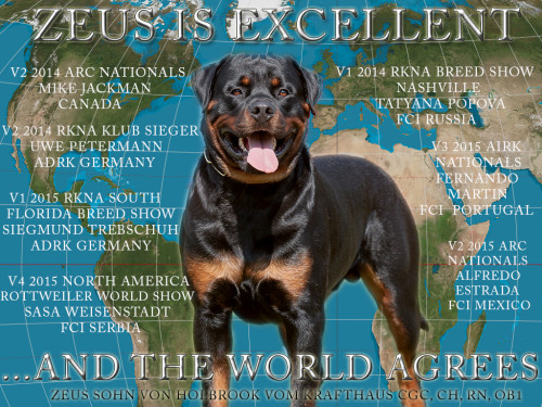 ZEUS-POSTER-AWESOME