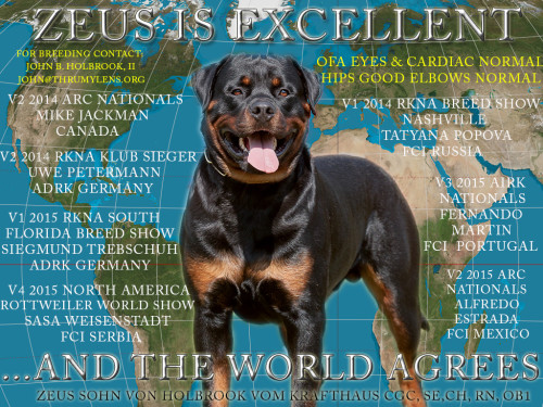 ZEUS-POSTER-AWESOME1