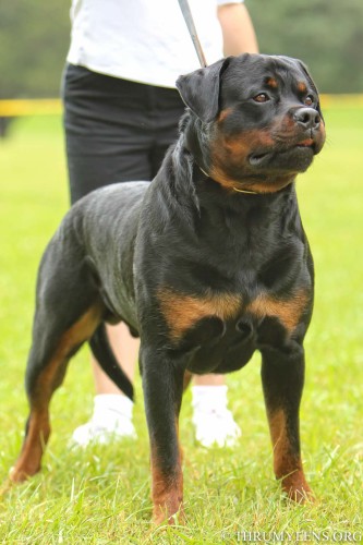 zeus2-Edit-Edit
