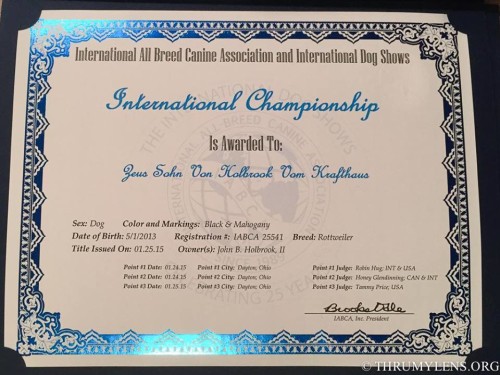 IABCA1