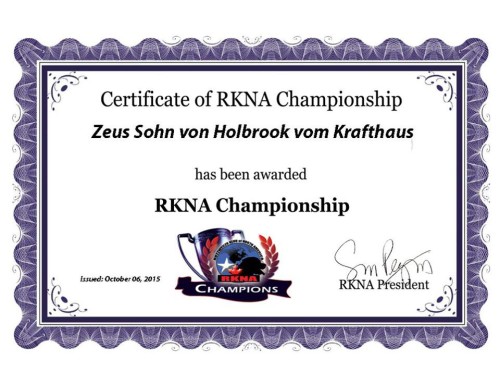 RKNA CH2