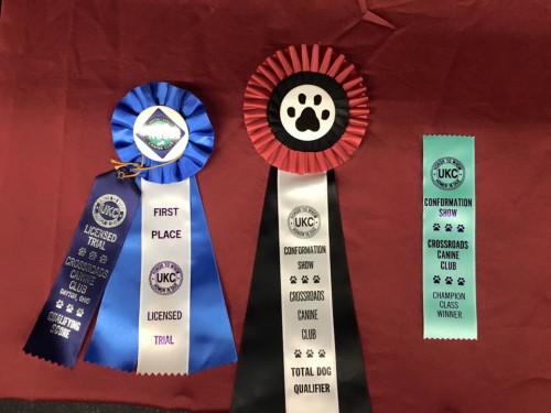 ukc1