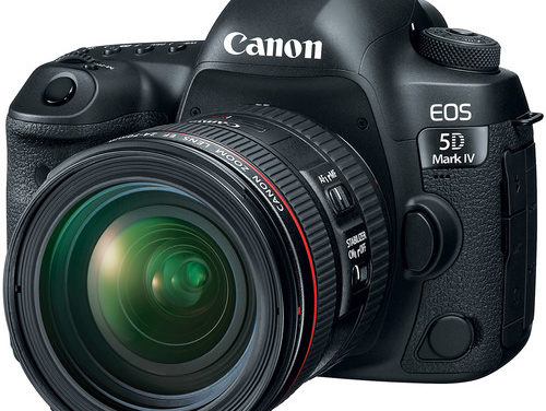 Why I Purchased The Canon 5D Mark IV In 2019