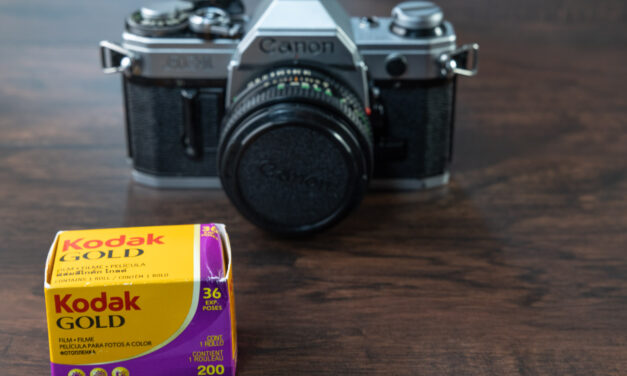 My Exploration Of Film Photography, Part II